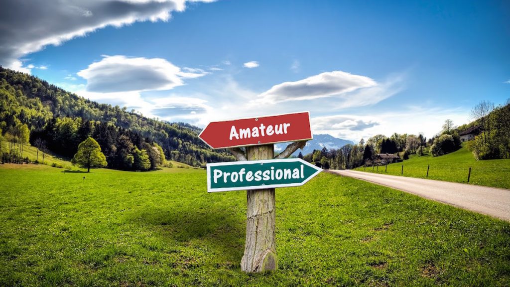 Large outdoor space with a road on the right side and a sign in the middle saying “Amateur” (pointing left) and “Professional” (pointing right), signifying the clear path created by a professional marketing plan
